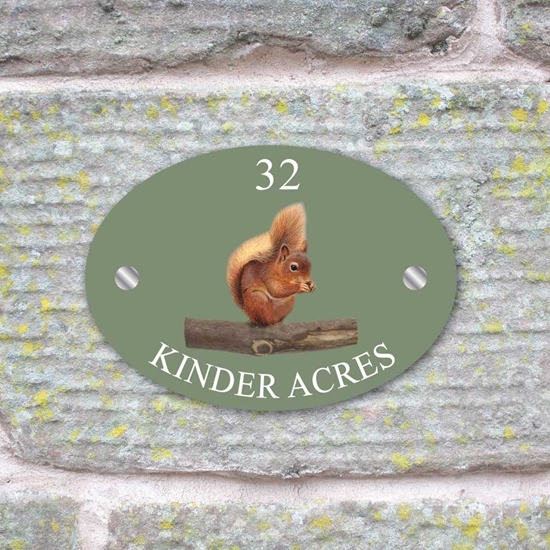 JAF Graphics. Personalised Red Squirrel House Sign
