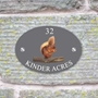 Picture of Personalised Red Squirrel House Sign