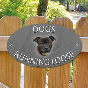 Picture of Staffordshire Bull Terrier Dogs Loose Sign