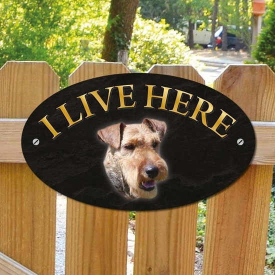 Picture of Welsh Terrier Dog I Live Here Sign