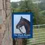 Picture of Personalised Nags Head Hanging  Bar Sign