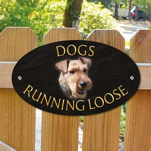 Picture of Welsh Terrier Dogs Running Loose Sign