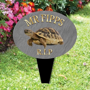 Picture of Pet Tortoise memorial plaque