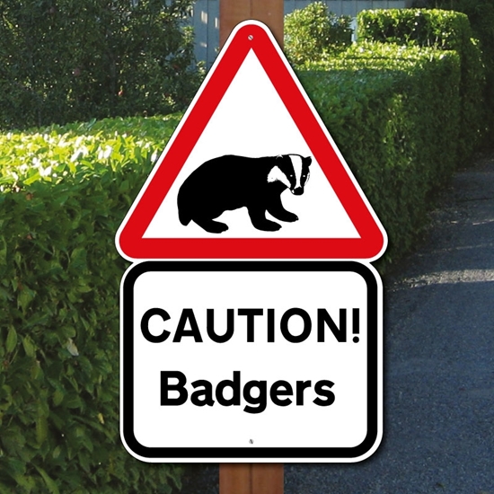 Picture of Badger Road Safety Sign