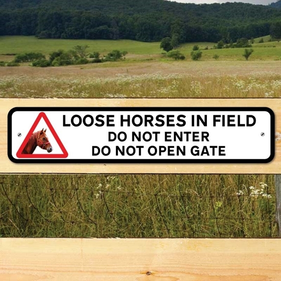 Picture of Horse Do Not Enter Gate Sign
