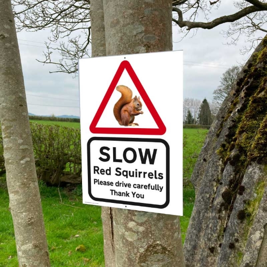 Picture of Red Squirrel Road Safety Sign