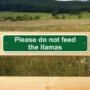 Picture of Please do not feed the llamas sign
