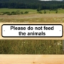 Picture of Please do not feed the animals sign