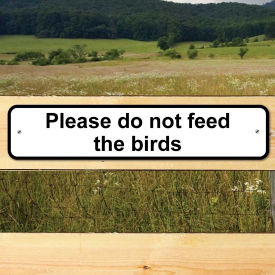 Picture of Please do not feed the birds sign