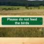Picture of Please do not feed the birds sign