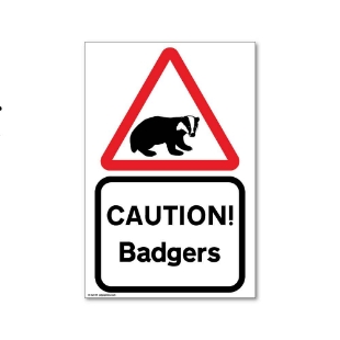 Animal Safety Symbol Science Safety Symbols Reference Sheet