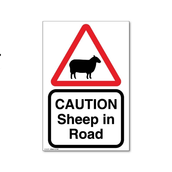 Picture of Beware of Sheep Farm Sign