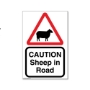 Picture of Eco Beware of Sheep Farm Sign