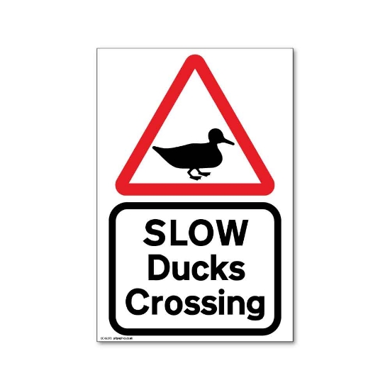 Picture of ECO Slow Ducks Crossing Sign