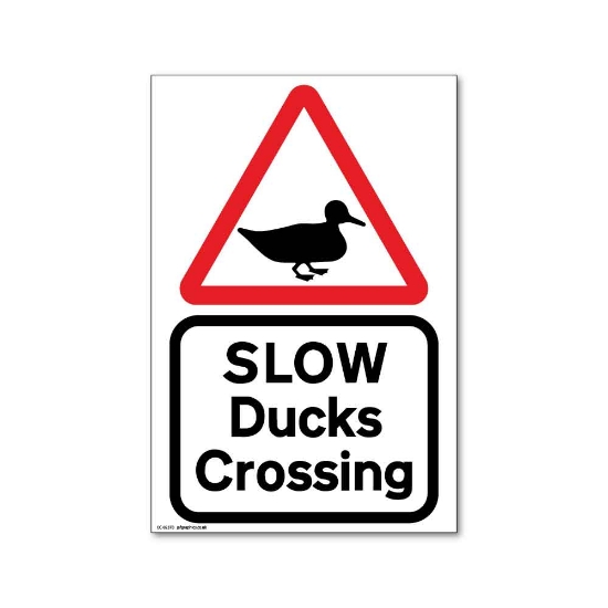 Picture of Slow Ducks Crossing Sign