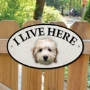 Picture of White Cockapoo Dog I Live Here Gate Sign
