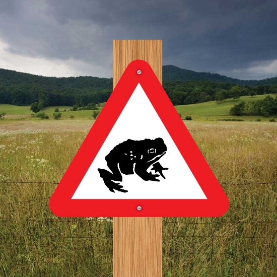 Picture of Toad Triangle Warning Sign