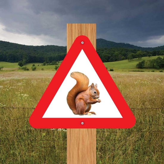 Picture of Squirrel Triangle Warning Sign