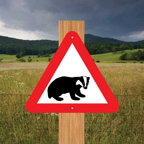 Picture of Badger Triangle Warning Sign