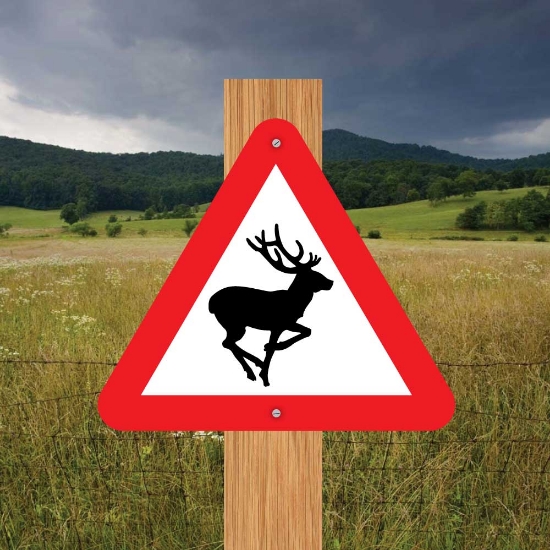Picture of Deer Triangle Warning Sign