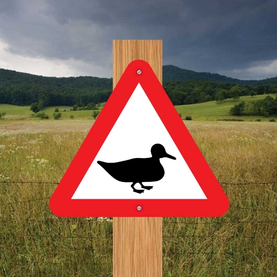 Picture of Duck Triangle Warning Sign