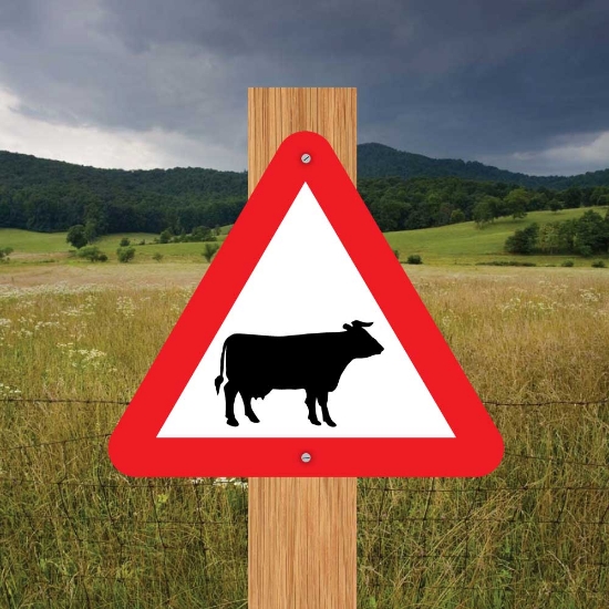 Picture of Cow Triangle Warning Sign