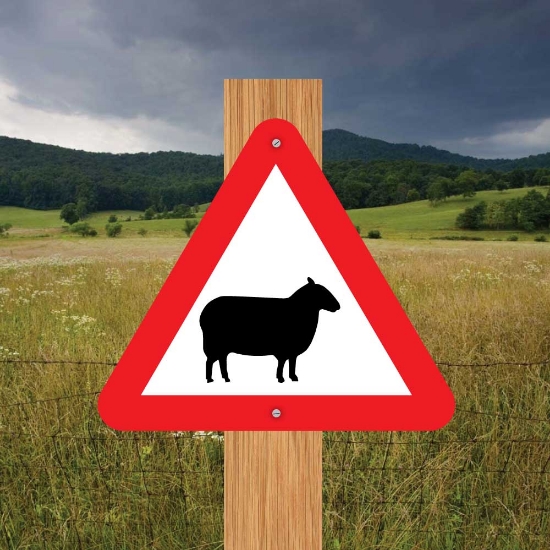Picture of Sheep Triangle Warning Sign