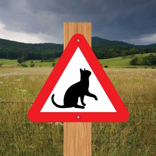 Picture of Cat Triangle Warning Sign