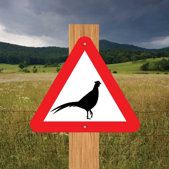 Picture of Pheasant Triangle Warning Sign