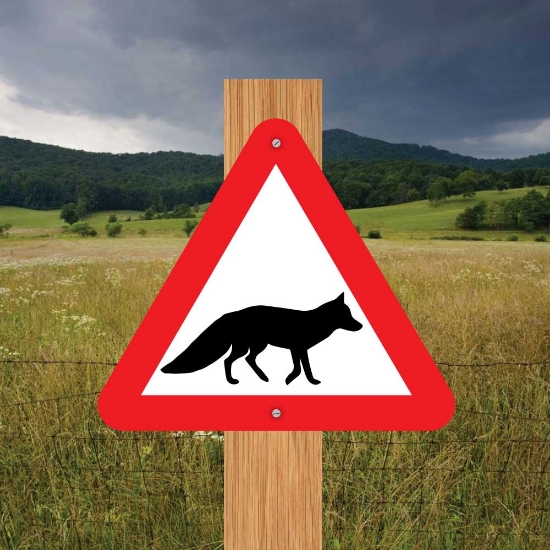 Picture of Fox Triangle Warning Sign