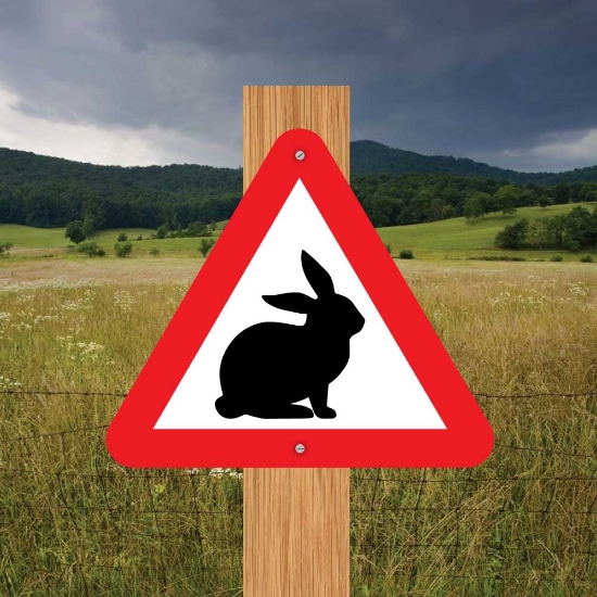 Picture of Rabbit Triangle Warning Sign