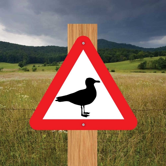 Picture of Gull Triangle Warning Sign