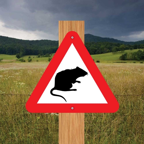 Picture of Rat Triangle Warning Sign