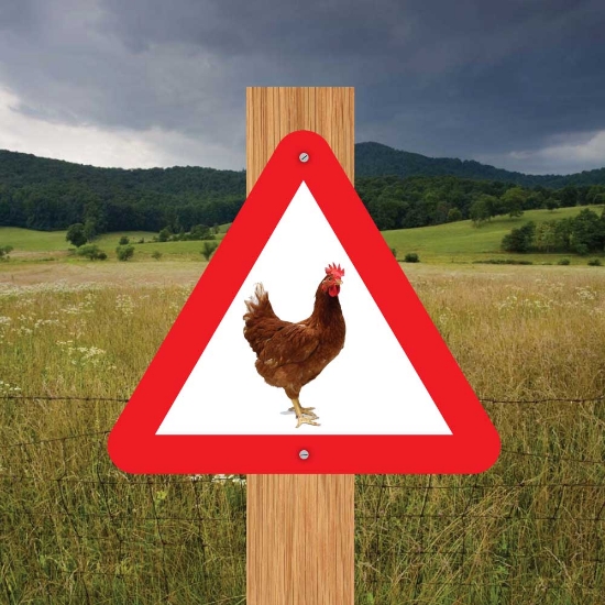 Picture of Chicken Triangle Warning Sign	