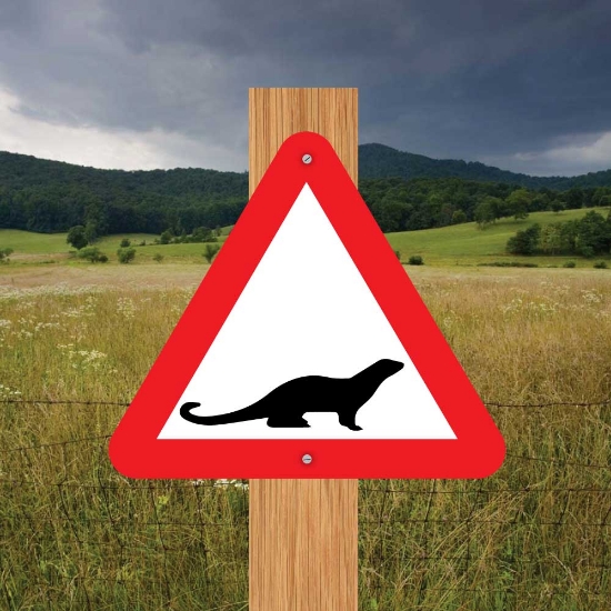 Picture of Otter Triangle Warning Sign