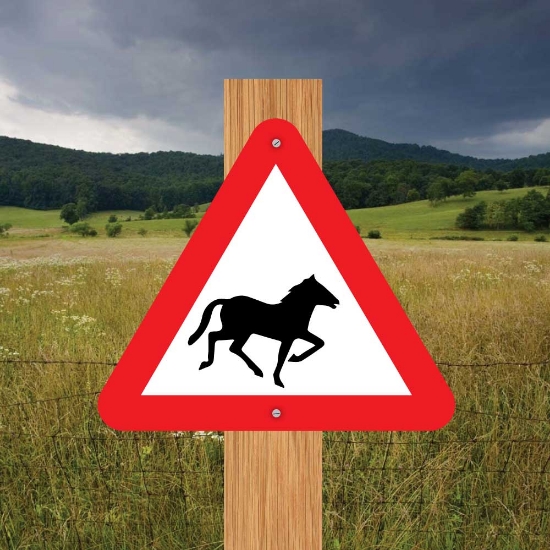 Picture of Wild Horse Triangle Warning Sign