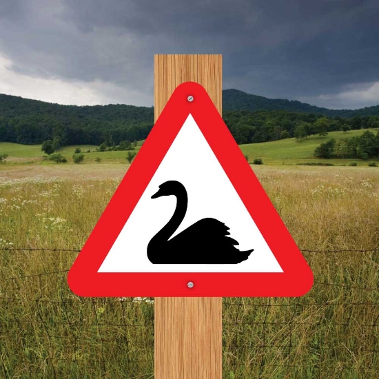 Picture of Swan Triangle Warning Sign