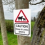Picture of Eco Lamb and Sheep Road Safety Sign