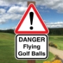 Picture of Golf Course Flying Balls Warning Sign