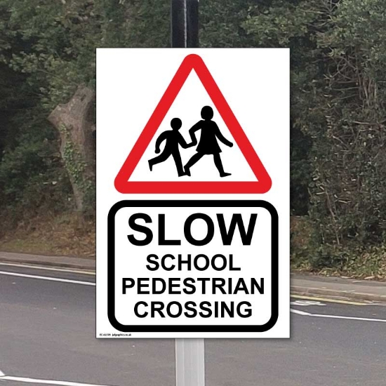 Picture of School Pedestrian Crossing Safety Sing