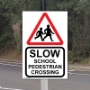 Picture of School Pedestrian Crossing Safety Sing
