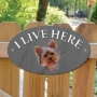 Picture of Yorkshire Terrier Dog I Live Here Sign