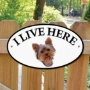 Picture of Yorkshire Terrier Dog I Live Here Sign