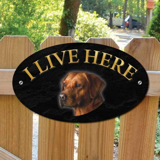 Picture of Red Labrador Dog I Live Here Sign