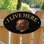 Picture of Red Labrador Dog I Live Here Sign