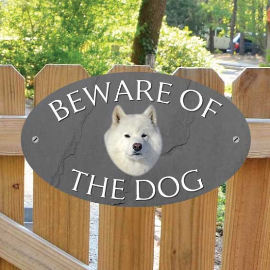 Picture of Samoyed Beware of The Dog Gate Sign