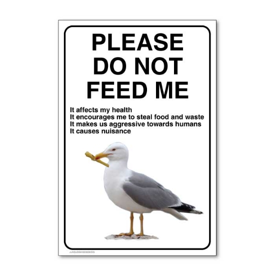 Picture of Do not feed the gulls bird sign