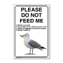 Picture of Do not feed the gulls bird sign