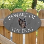 Picture of Black Cane Corso Beware of The Dog Sign