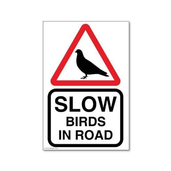 Picture of Doves on road Bird safety sign